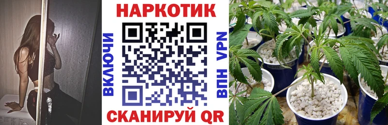 Купить наркотик Павлово Марихуана  Меф мяу мяу  APVP  ГАШИШ 