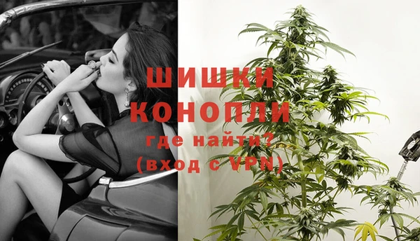 ГАЛЛЮЦИНОГЕННЫЕ ГРИБЫ Нефтекумск