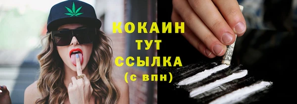 МДПВ Новозыбков