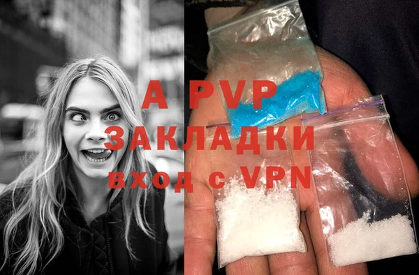 ГАЛЛЮЦИНОГЕННЫЕ ГРИБЫ Нефтекумск