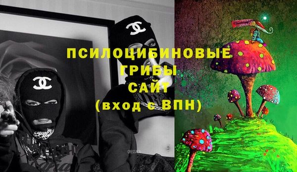 ешки Нея