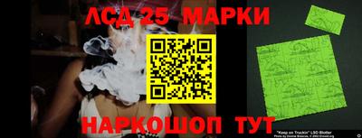 гашик Камышлов