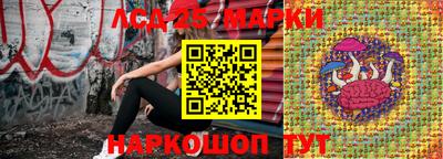 гашик Камышлов