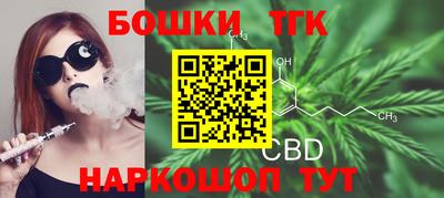 гашик Камышлов