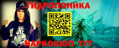 гашик Камышлов