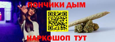 гашик Камышлов