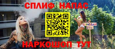 гашик Камышлов