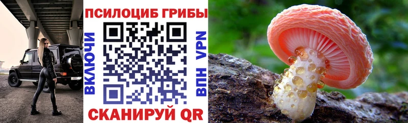 купить   Павлово  Галлюциногенные грибы прущие грибы 