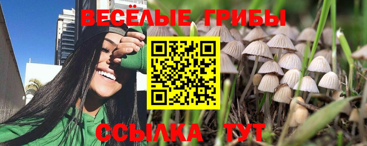 Павлово  дарнет шоп  Галлюциногенные грибы мухоморы  Вход с VPN  Псилоцибиновые грибы прущие грибы 