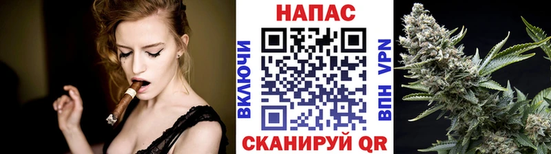 гидра онион  Павлово  Бошки марихуана OG Kush  продажа наркотиков 